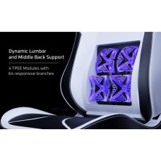 Vertagear Vertagear SL5800, gaming chair (black/carbon, ContourMax Lumbar, VertaAir, Hygennx)