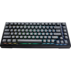 Ducky Klawiatura Ducky Ducky Tinker 75 Gaming-Tastatur, RGB - MX-Speed Silver (ISO-DE)