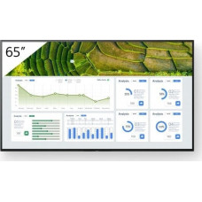 Sony Monitor Sony Bravia FW-65BZ30L