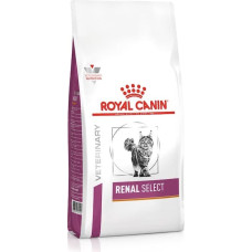 Royal Canin Cat Renal Select - dry cat food - 4 kg