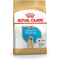 Royal Canin SHN Breed Labrador Junior dry dog food - 12 kg