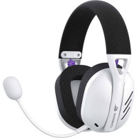 Havit Fuxi-H3 gaming headphones (black)