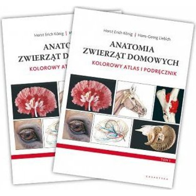 Galaktyka Anatomia zwierząt domowych. Kolorowy atlas i podręcznik. Wydanie IV