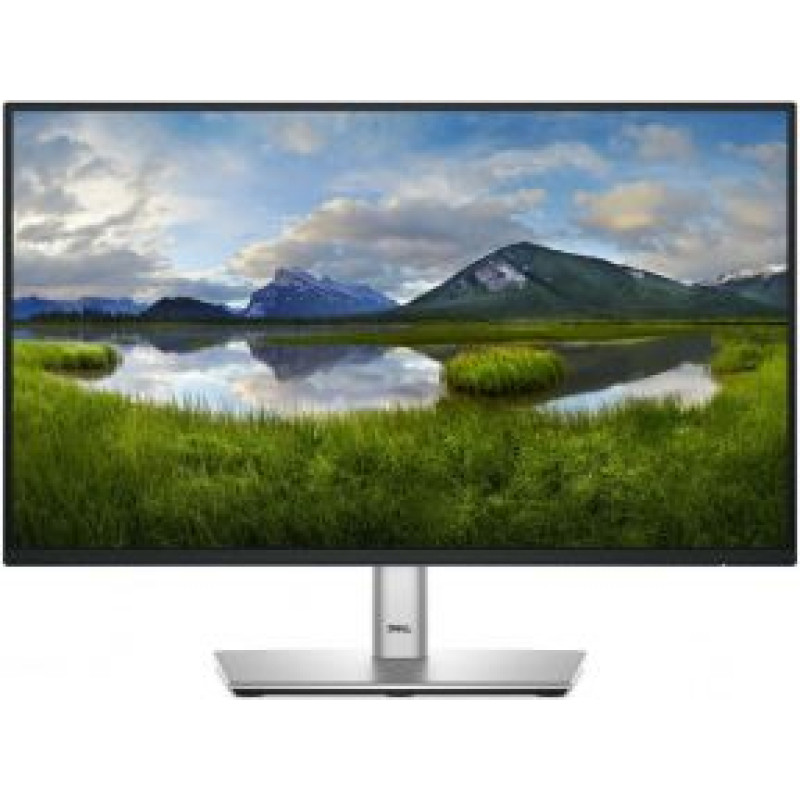 Dell LCD P2225H 22