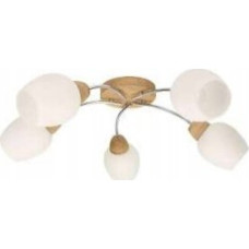 Noname Lampa sufitowa Spot Light Santa 8551574 plafon lampa sufitowa 5x60W E27 drewniany/chromowy