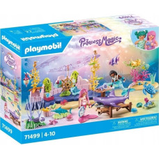 Playmobil - Princess Magic Podwodna opieka nad zwierzętami morskimi 71499