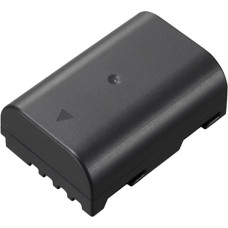 Panasonic battery DMW-BLF19