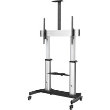 Startech Stojak podłogowy STNDMTV100 60'' - 100''