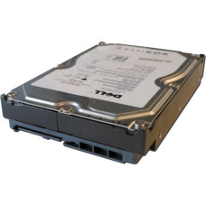 Dell Dysk serwerowy Dell 1TB 3.5'' SATA III (6 Gb/s)  (FNW88)
