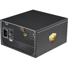 Sharkoon Zasilacz Sharkoon Rebel P30 Gold 1000W