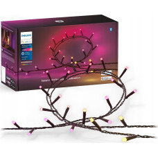 Philips Philips Hue Festavia girlanda 250