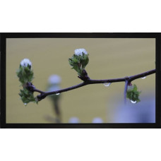 Medium Ekran do projektora Medium MEDIUM Frame Budget Rahmenleinwand BM 240x135cm AM 256x151cm BxH 16:9 Format 8cm schwarzer Rahmen Typ D